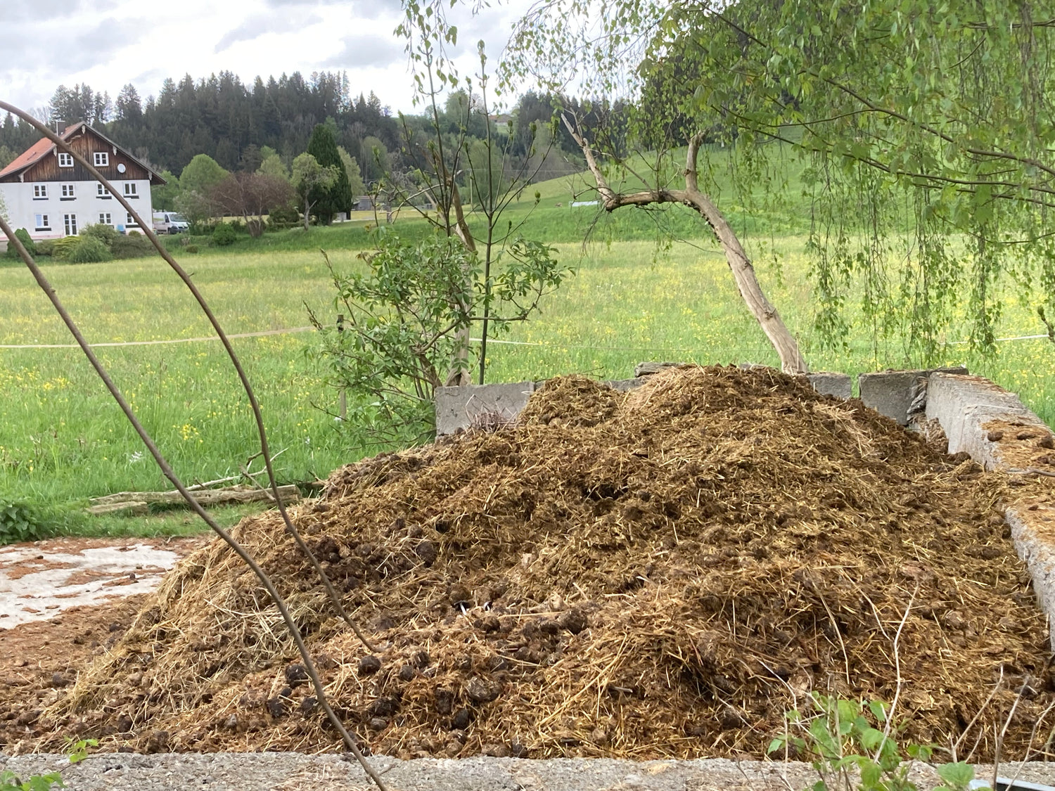 Hippo Gold Mist — natürlicher Dünger für Garten und Landwirtschaft