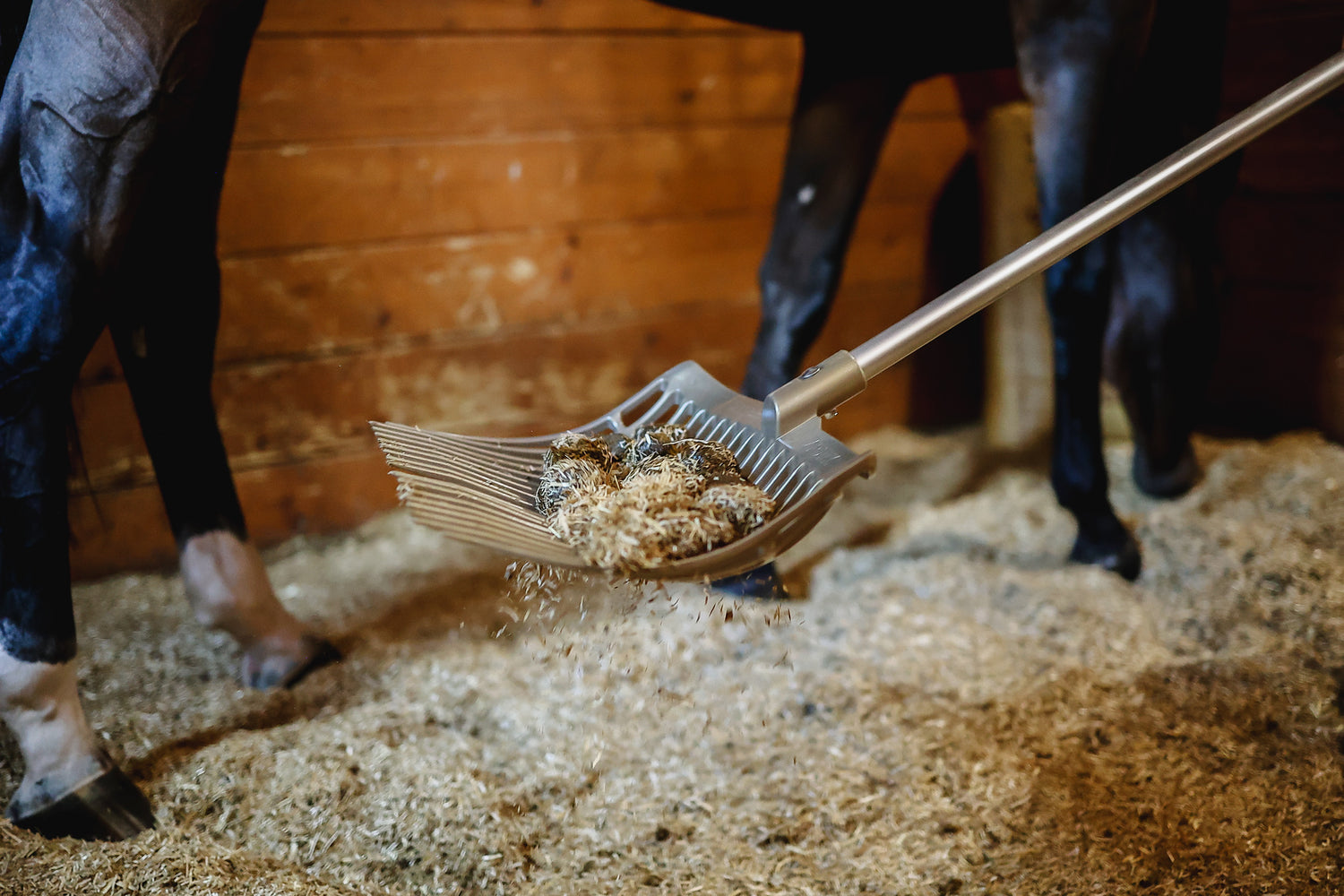 Hippo Gold Einstreu im Stallbetrieb